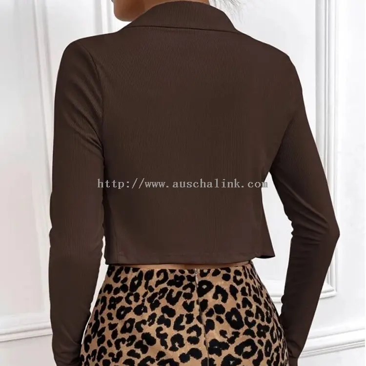 Brown Knitted Long Sleeve Button Down Top Pro Women (III)