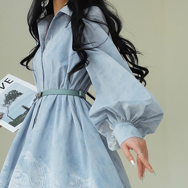 Custom Dyed Print Shirt Dress (4)