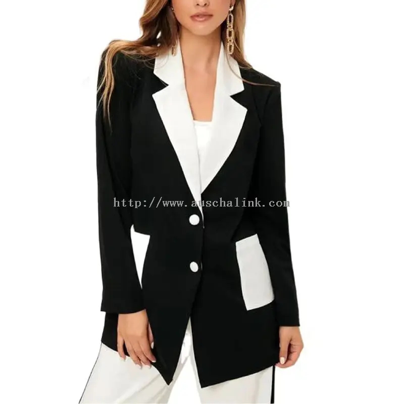 Elbise ve Blazer (3)