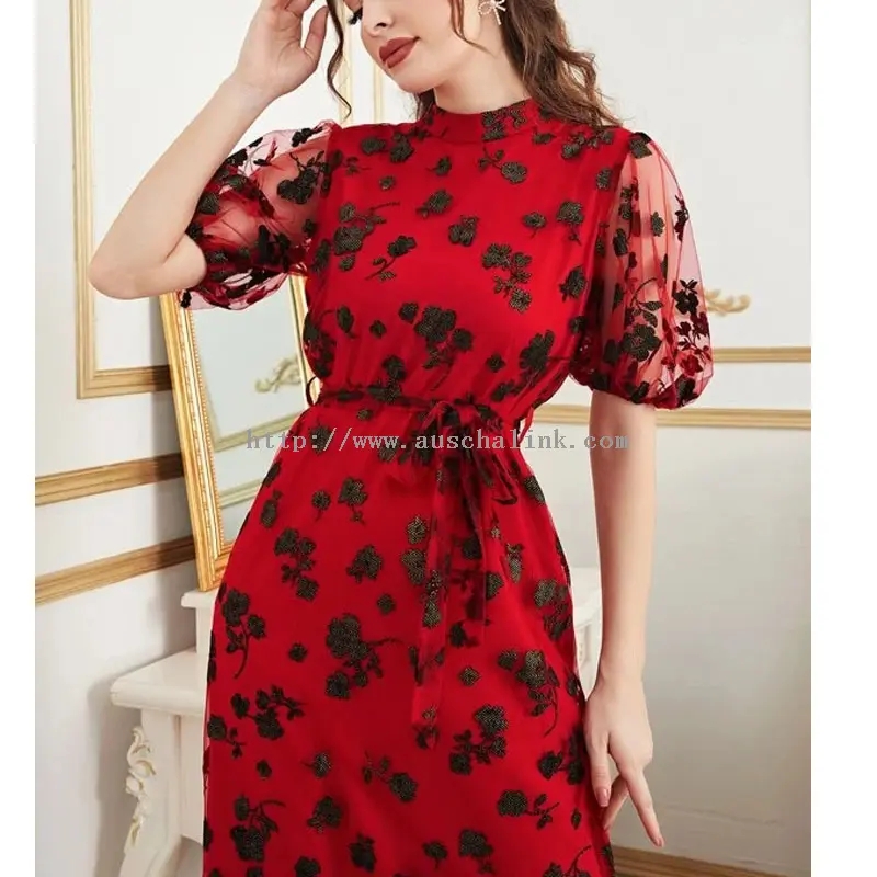 Lantern Sleeve Dress (1)