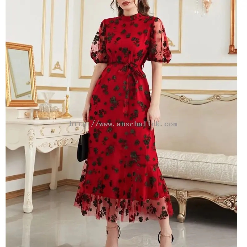 Lantern Sleeve Dress (3)