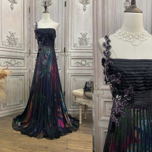 https://www.auschalink.com/long-printed-mesh-evening-gown-dress-elegant-pricelist-product/