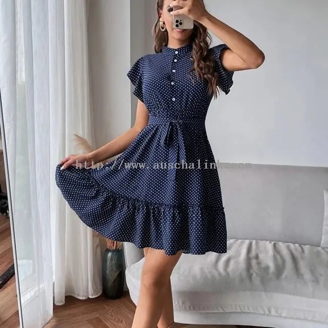 Navy Blue Polka Dot Print Ruffle Waist Dress (3)