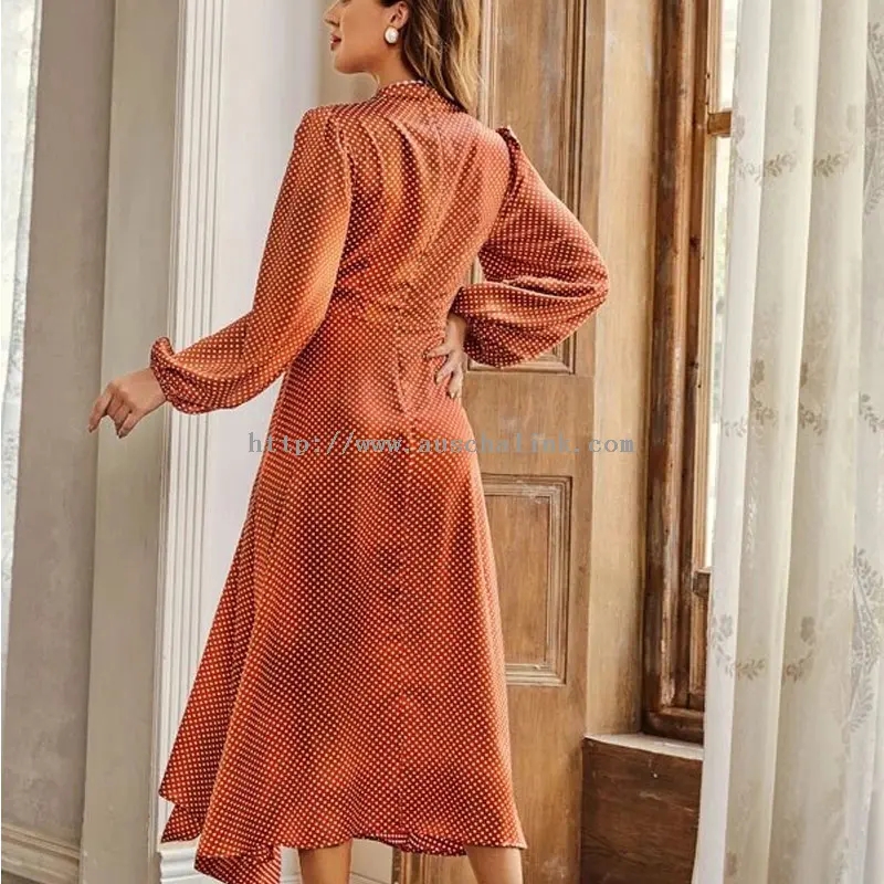 Robe longue élégante vintage à pois orange à manches longues (1)